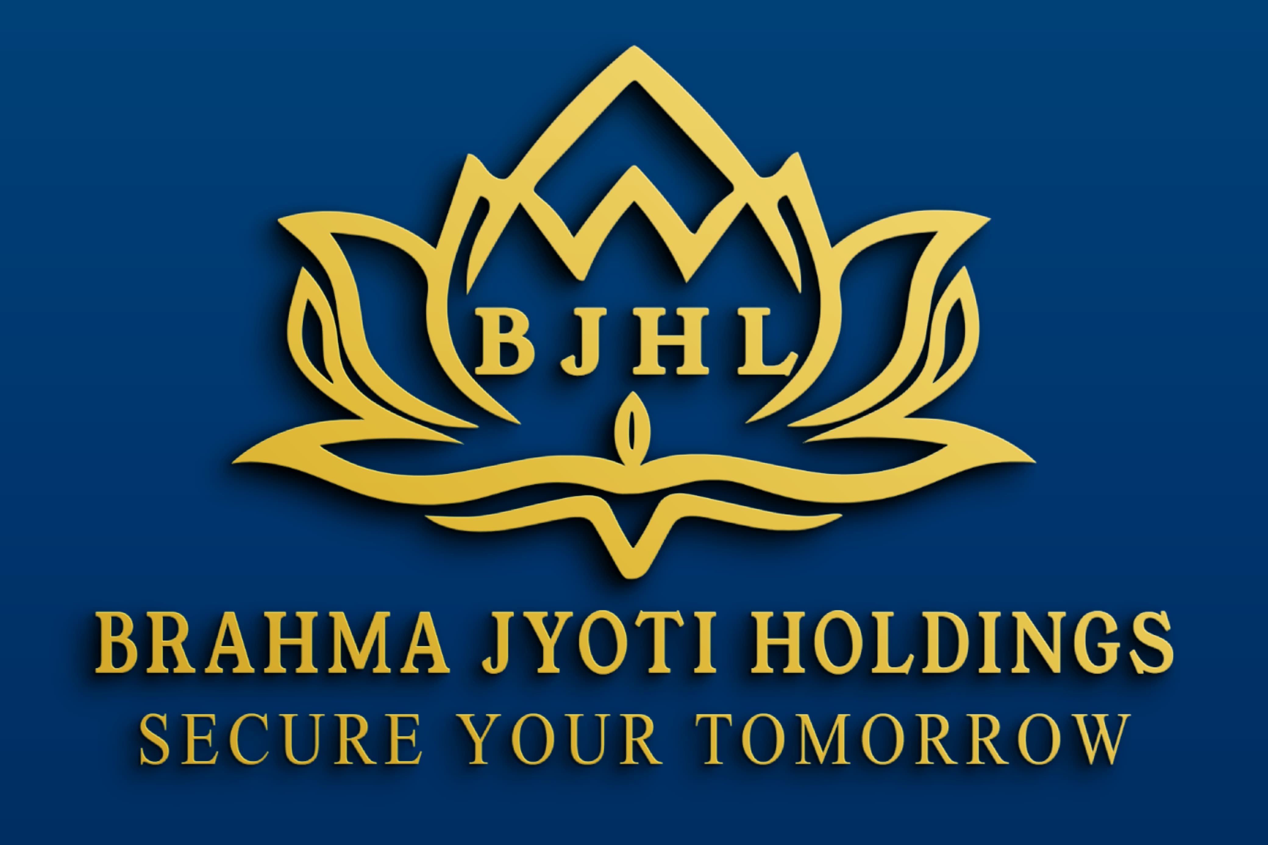 Brahma Jyoti Holdings Limited (4)