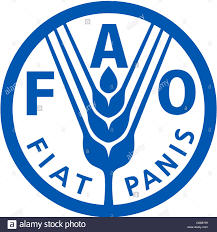Food And Agriculture Organization Of The United Nations (1)